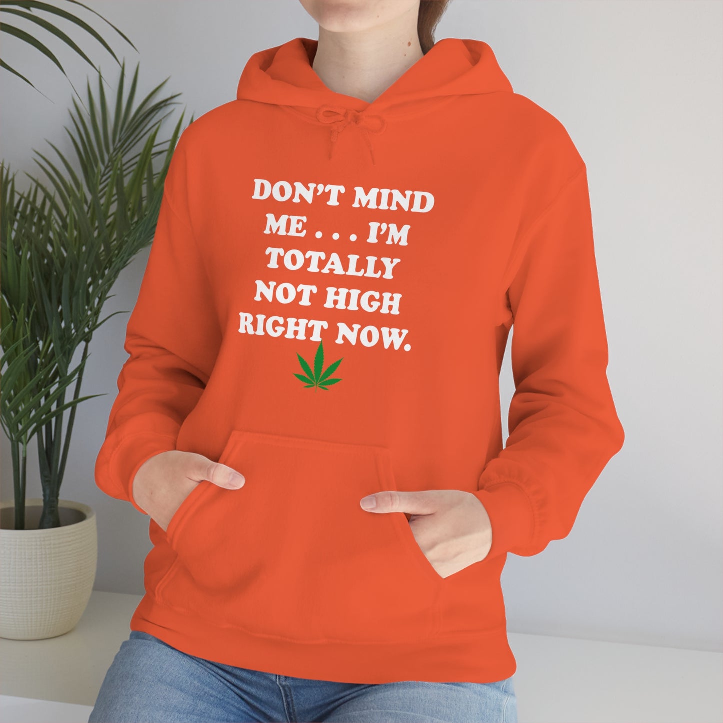 Totally Not High Right Now - Unisex Heavy Blend™ Hooded Sweatshirt