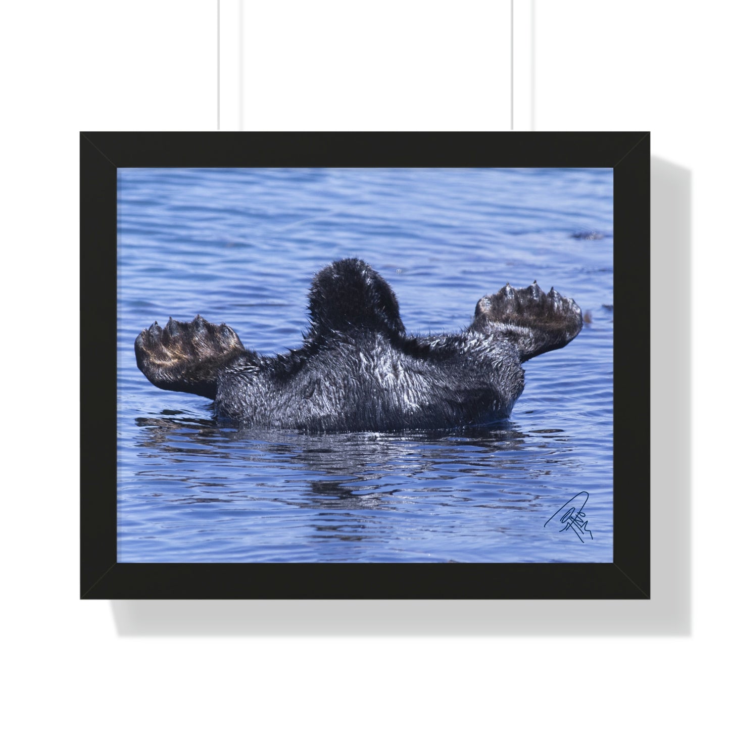 Sea Otter Butt - Sea otter diving for food - Framed Horizontal Poster