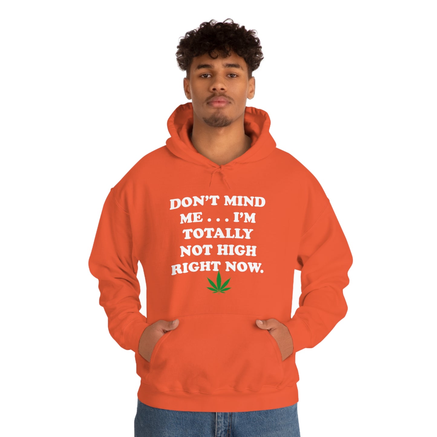 Totally Not High Right Now - Unisex Heavy Blend™ Hooded Sweatshirt