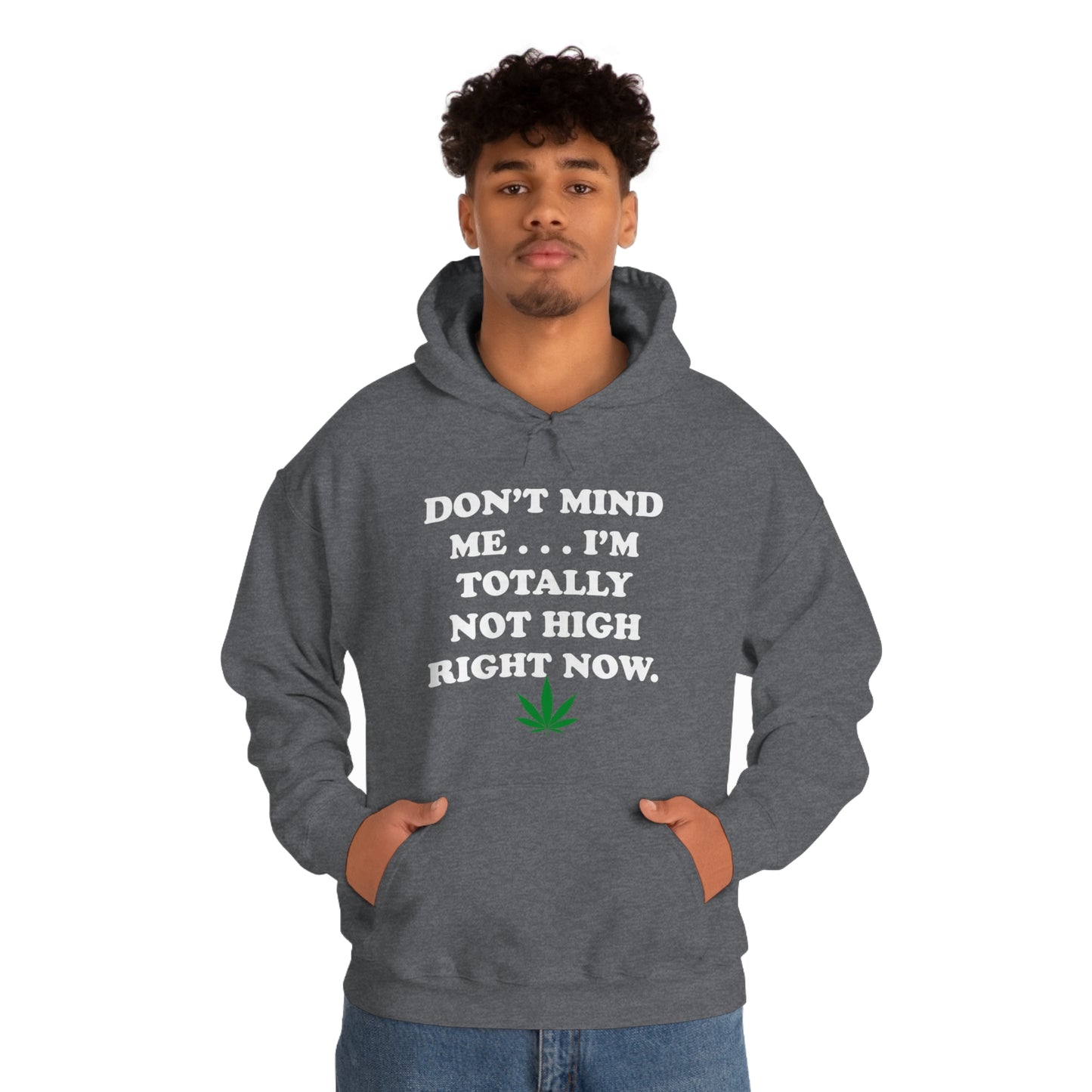 Totally Not High Right Now - Unisex Heavy Blend™ Hooded Sweatshirt