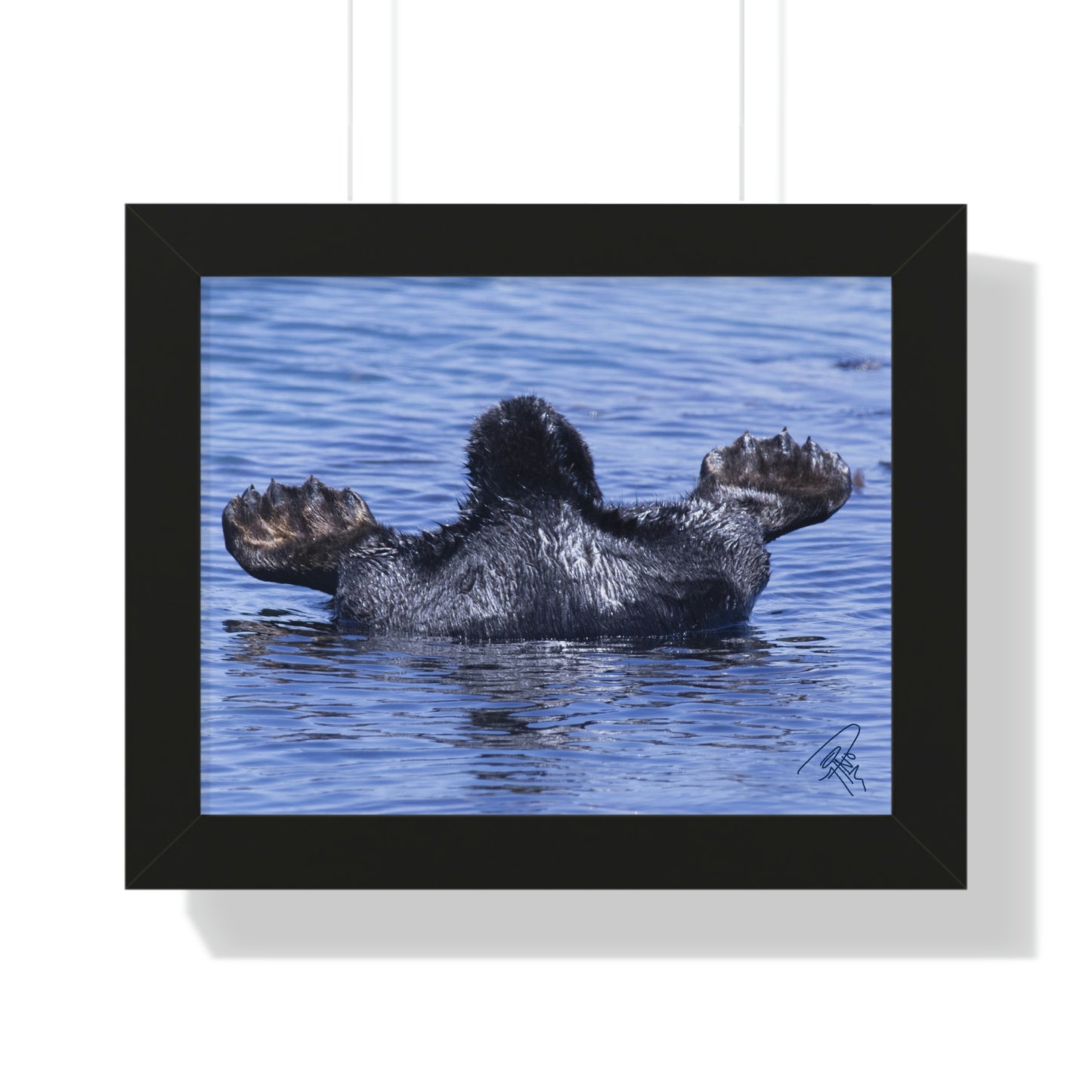 Sea Otter Butt - Sea otter diving for food - Framed Horizontal Poster