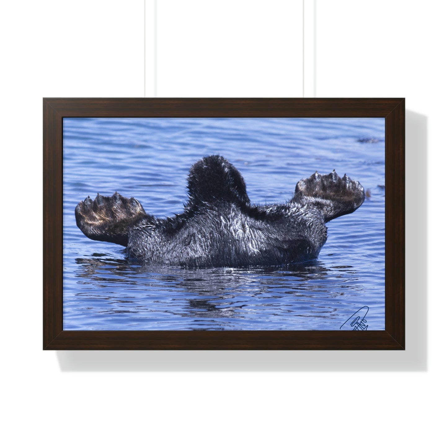 Sea Otter Butt - Sea otter diving for food - Framed Horizontal Poster