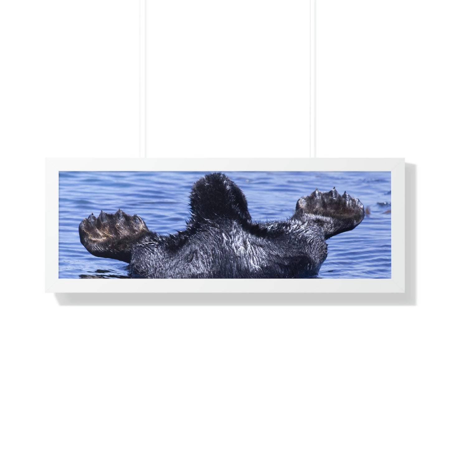 Sea Otter Butt - Sea otter diving for food - Framed Horizontal Poster