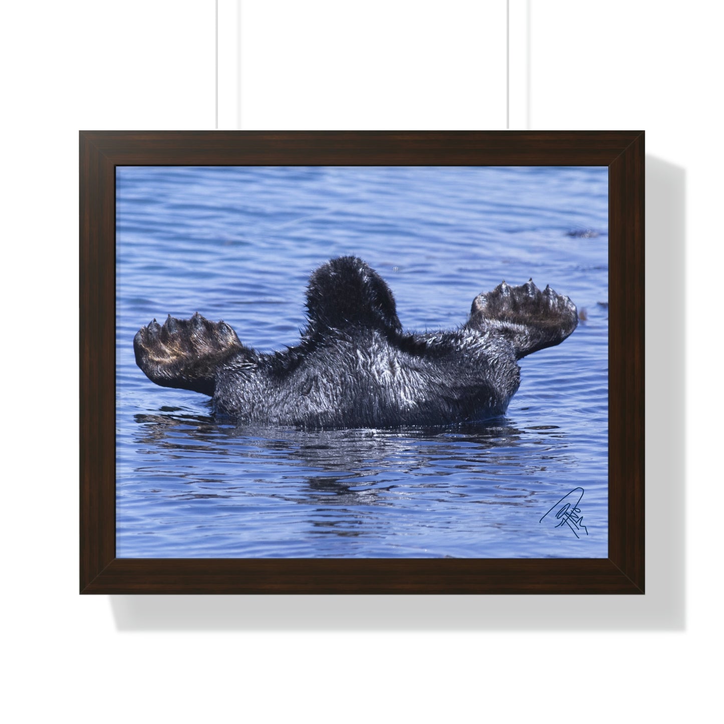Sea Otter Butt - Sea otter diving for food - Framed Horizontal Poster