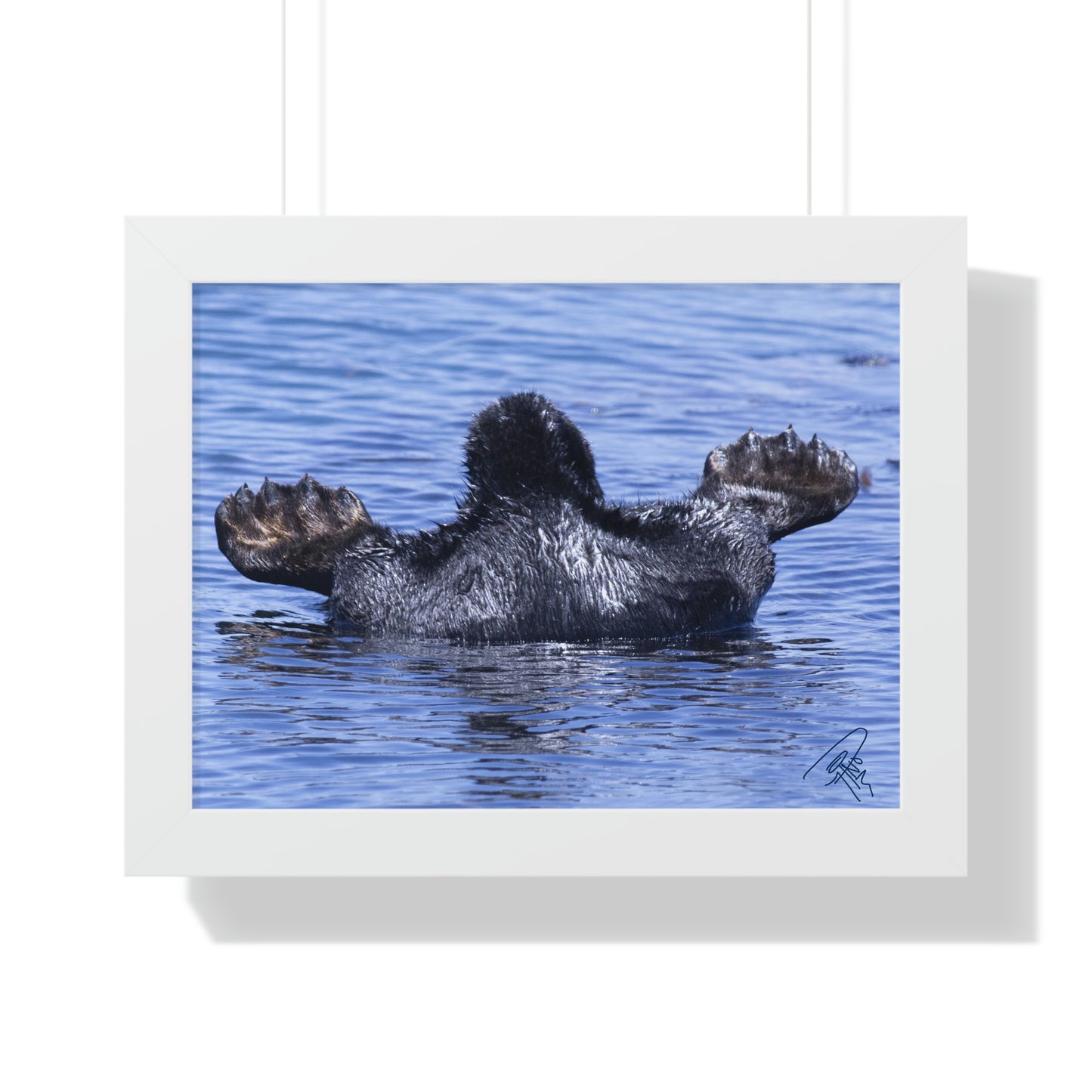 Sea Otter Butt - Sea otter diving for food - Framed Horizontal Poster