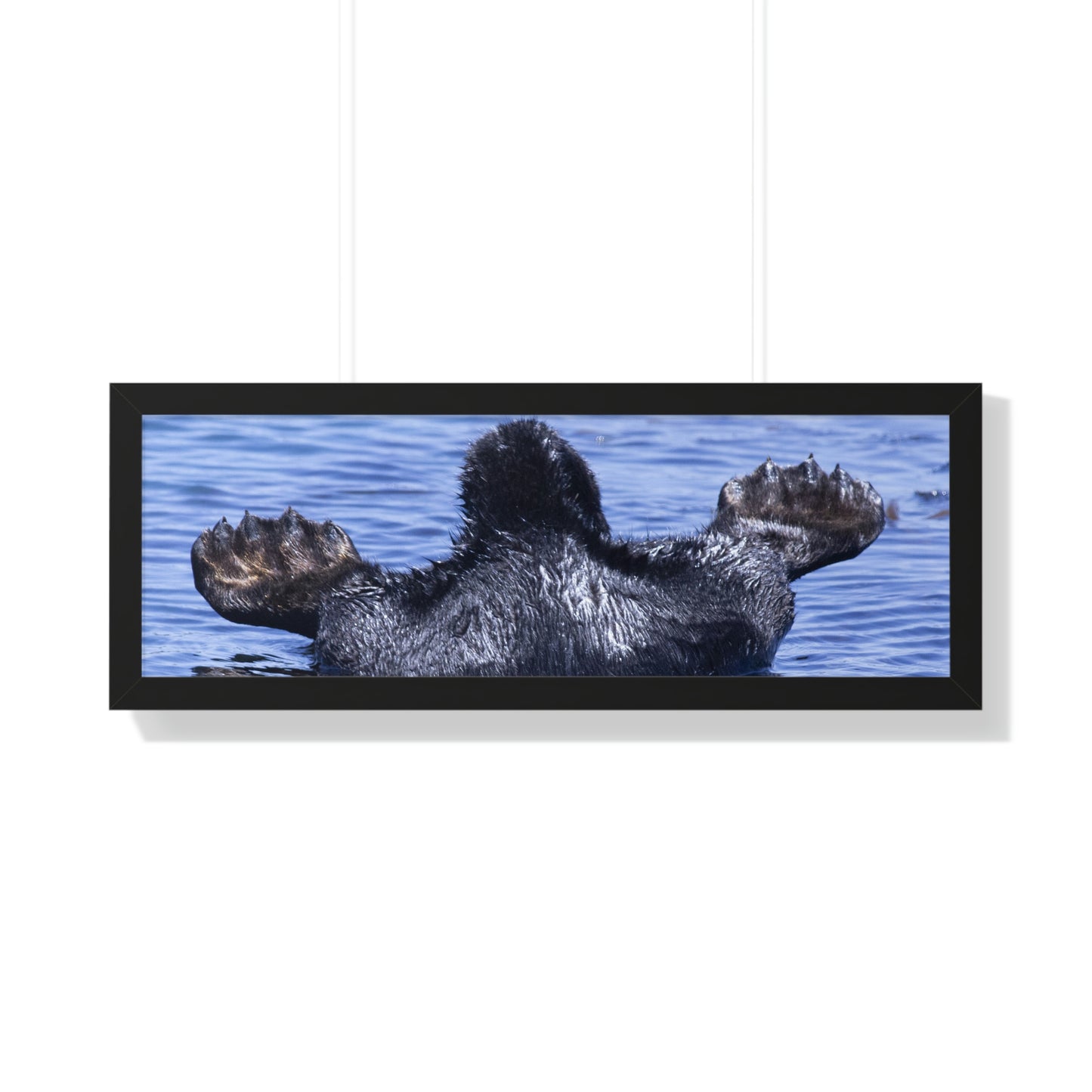 Sea Otter Butt - Sea otter diving for food - Framed Horizontal Poster