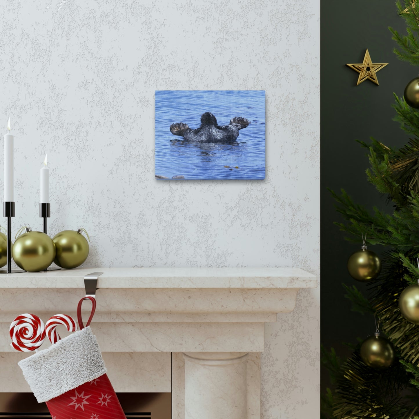 Sea Otter Butt - Canvas Gallery Wraps