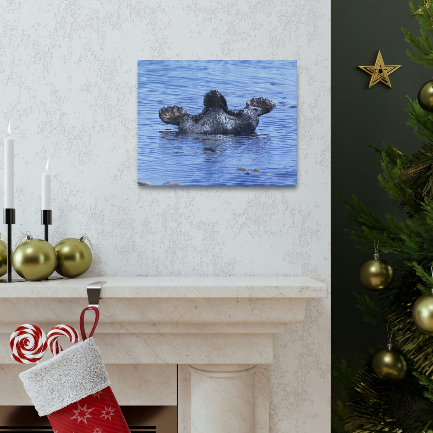 Sea Otter Butt - Canvas Gallery Wraps