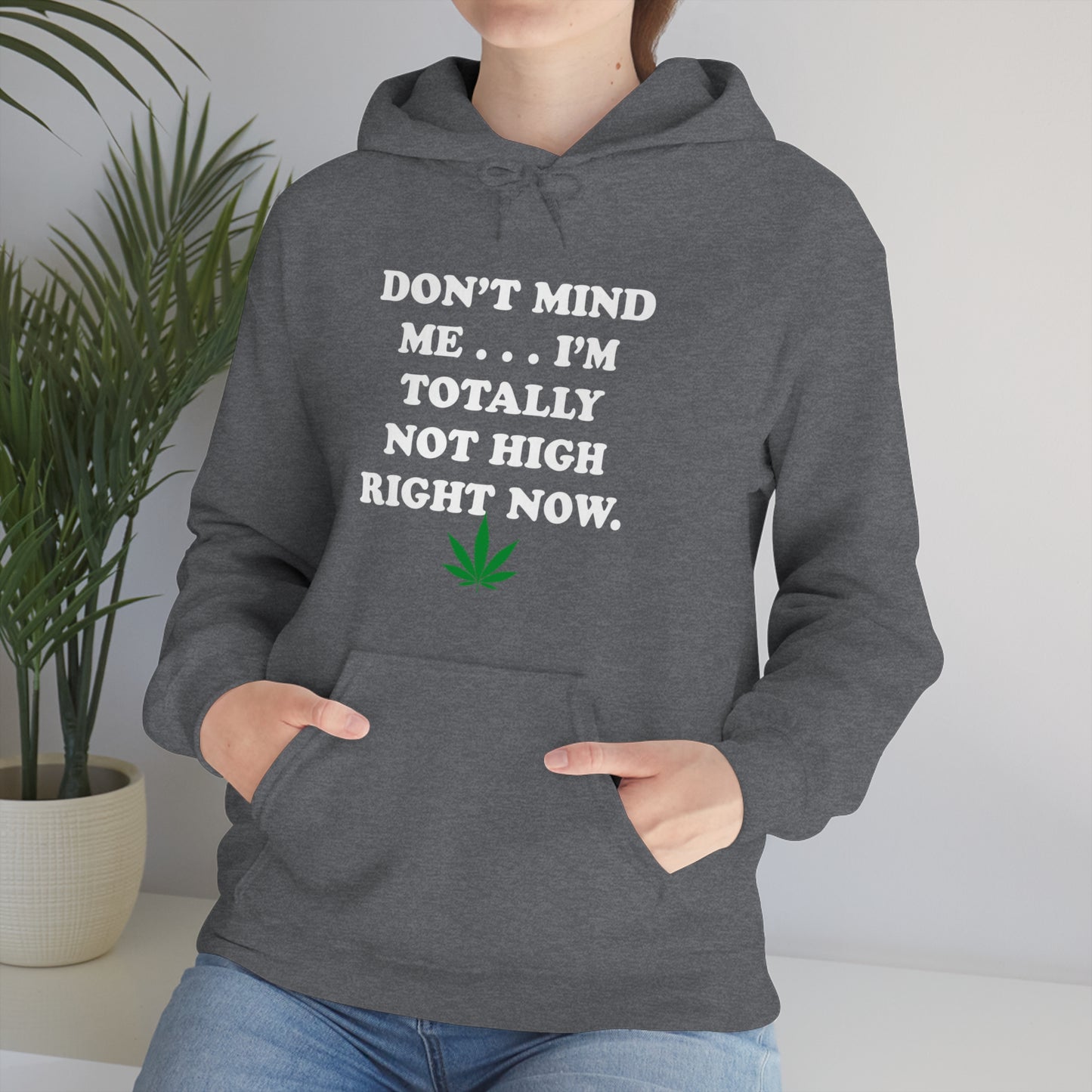 Totally Not High Right Now - Unisex Heavy Blend™ Hooded Sweatshirt