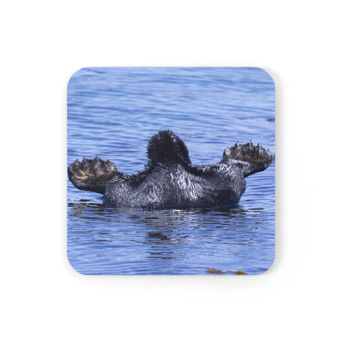 Corkwood Coaster Set