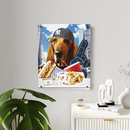 Basset Eating American Fast Food - Acrylic Wall Art Panels
