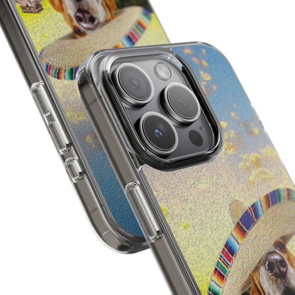 Basset Hound Eating Mexican Cuisine In Mexico - Clear Case