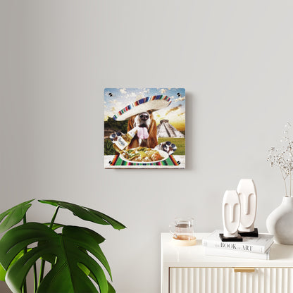 Basset Eating Mexican Food - Acrylic Wall Art Panels
