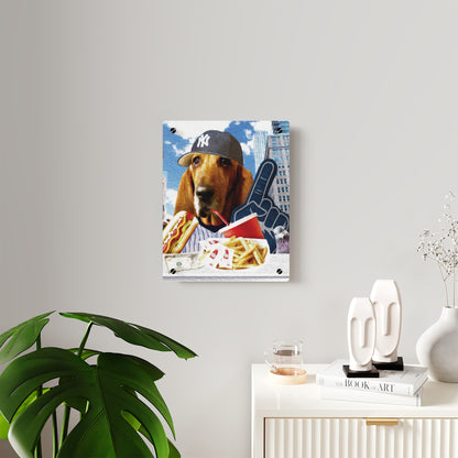 Basset Eating American Fast Food - Acrylic Wall Art Panels