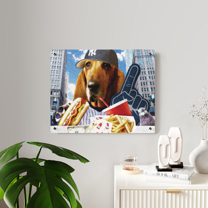 Basset Eating American Fast Food - Acrylic Wall Art Panels