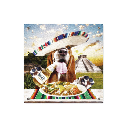 Basset Eating Mexican Food - Acrylic Wall Art Panels