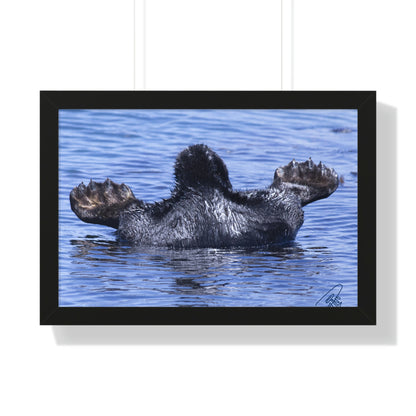Sea Otter Butt - Sea otter diving for food - Framed Horizontal Poster