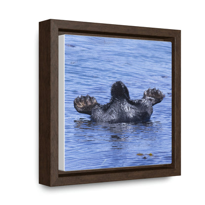 'Sea Otter Butt' photo as a Square Framed Premium Gallery Wrap Canvas