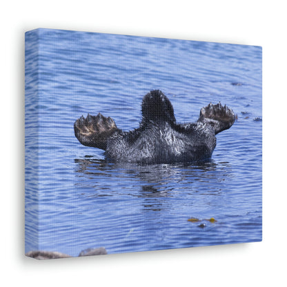Sea Otter Butt - Canvas Gallery Wraps