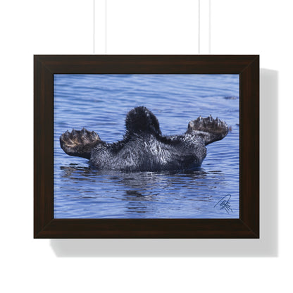 Sea Otter Butt - Sea otter diving for food - Framed Horizontal Poster