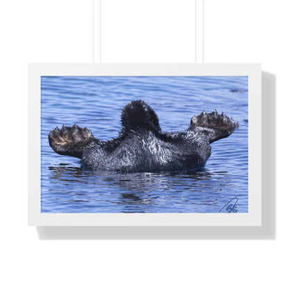 Sea Otter Butt - Sea otter diving for food - Framed Horizontal Poster