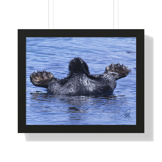 Sea Otter Butt - Sea otter diving for food - Framed Horizontal Poster