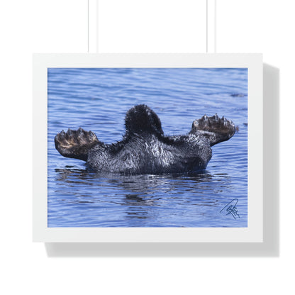 Sea Otter Butt - Sea otter diving for food - Framed Horizontal Poster