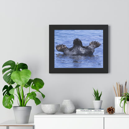 Sea Otter Butt - Sea otter diving for food - Framed Horizontal Poster