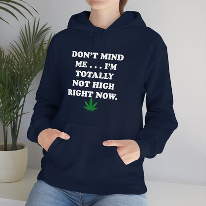 Totally Not High Right Now - Unisex Heavy Blend™ Hooded Sweatshirt