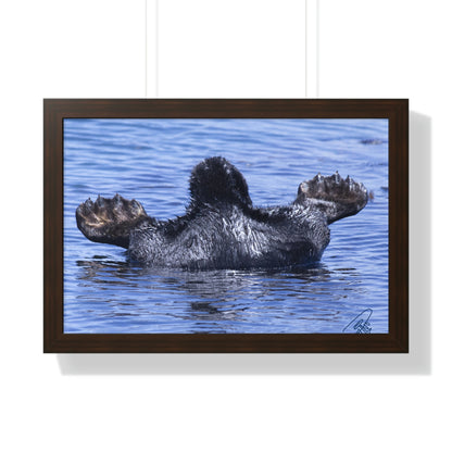 Sea Otter Butt - Sea otter diving for food - Framed Horizontal Poster