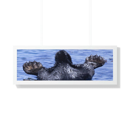 Sea Otter Butt - Sea otter diving for food - Framed Horizontal Poster