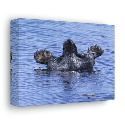 Sea Otter Butt - Canvas Gallery Wraps