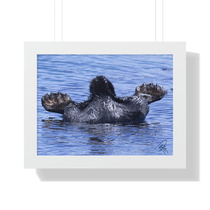 Sea Otter Butt - Sea otter diving for food - Framed Horizontal Poster