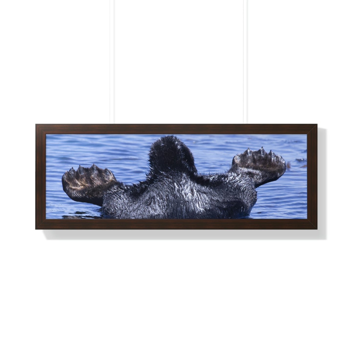 Sea Otter Butt - Sea otter diving for food - Framed Horizontal Poster