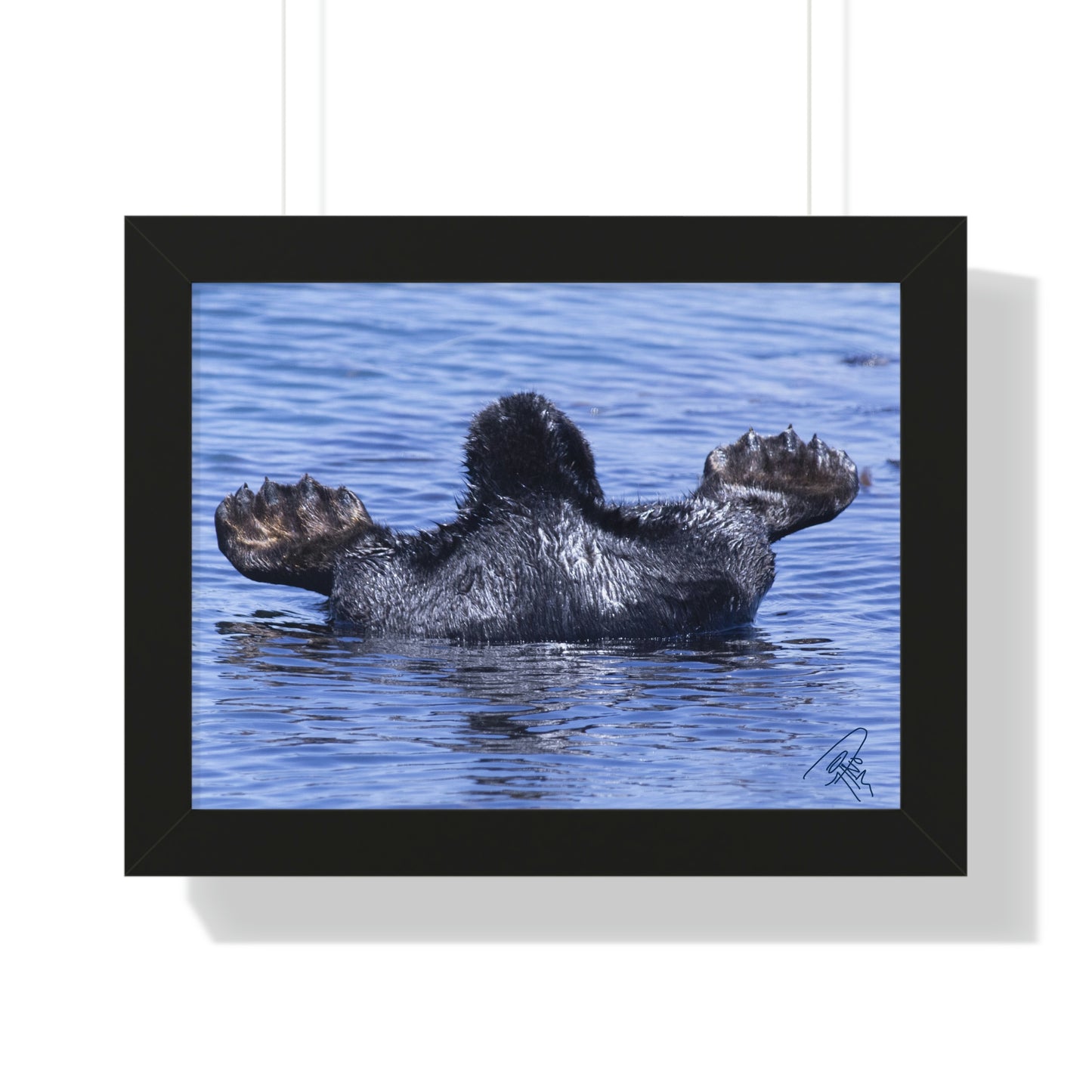 Sea Otter Butt - Sea otter diving for food - Framed Horizontal Poster