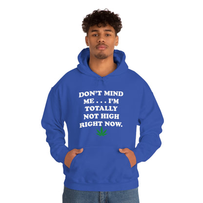 Totally Not High Right Now - Unisex Heavy Blend™ Hooded Sweatshirt