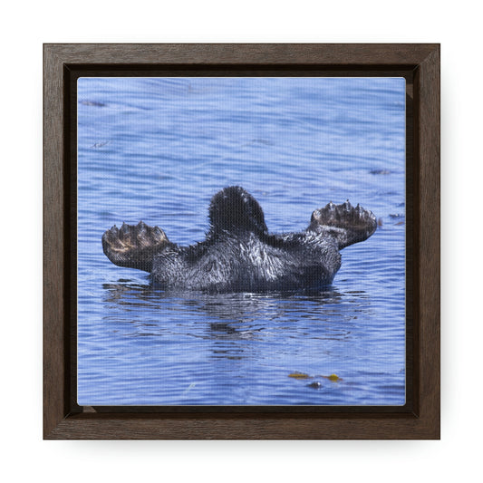 'Sea Otter Butt' photo as a Square Framed Premium Gallery Wrap Canvas