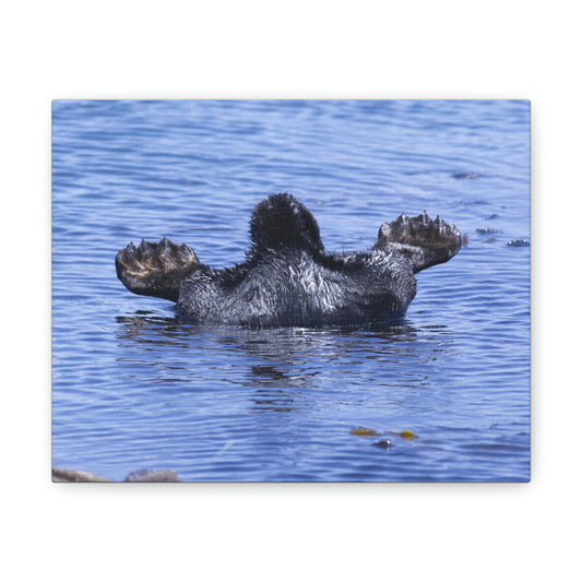 Sea Otter Butt - Canvas Gallery Wraps