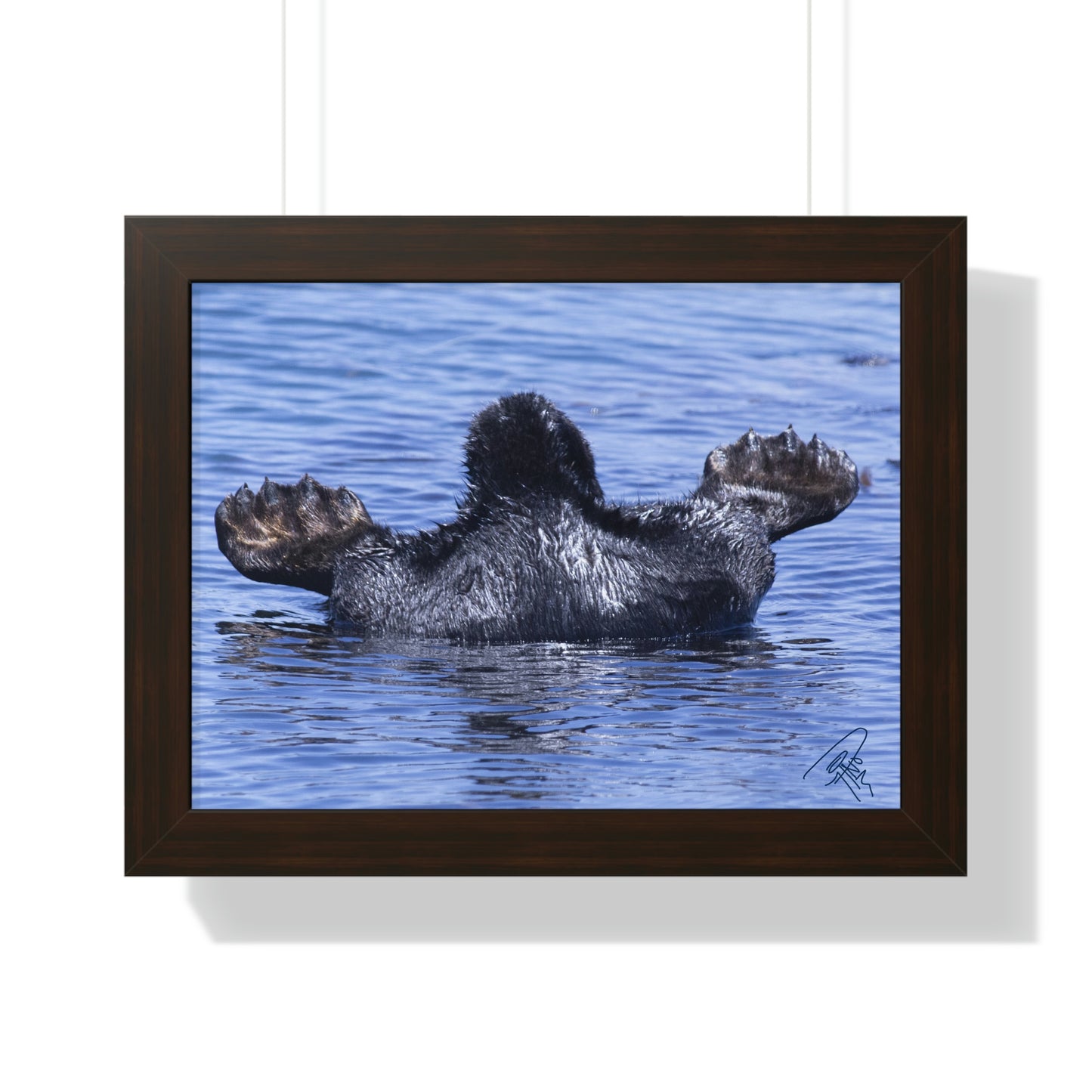 Sea Otter Butt - Sea otter diving for food - Framed Horizontal Poster